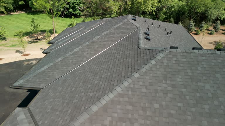 Best Steel Roofing  in Bellevue, MI