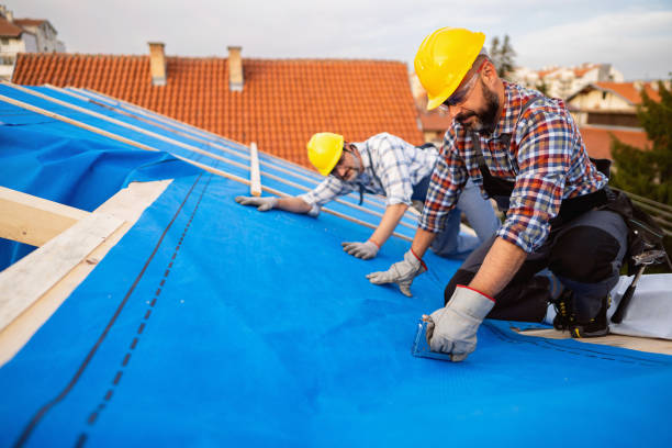 Best Roof Leak Repair  in Bellevue, MI