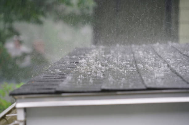Best Green or Eco-Friendly Roofing Solutions  in Bellevue, MI