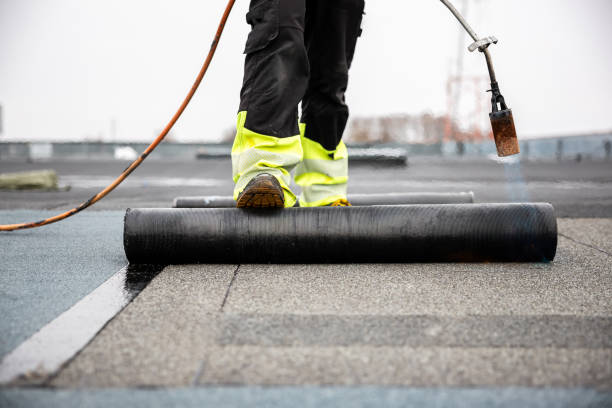 Best Roof Ventilation Installation  in Bellevue, MI